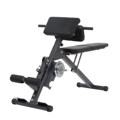 Купить  Finnlo Ab & Back Trainer 3869 в Киеве - фото №1