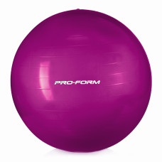 ProForm PFIFB6513