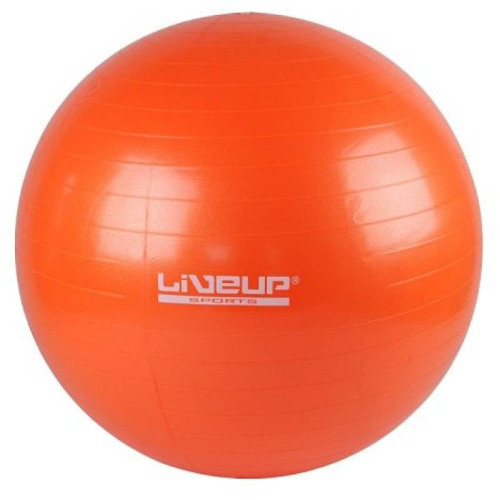 Купить Фитбол  LiveUp GYM BALL 55см orange в Киеве - фото №1
