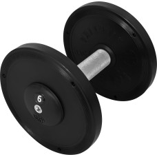 Гантель InterAtletika ST552.6 6 кг