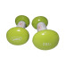 Купить Гантель  LiveUp Vinyl Dumbbell Egg Head Light Green 2x2kg в Киеве - фото №1