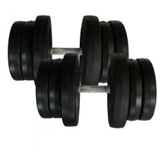 Гантель Newt наборные Rock pro-r 2 х 21,5 кг