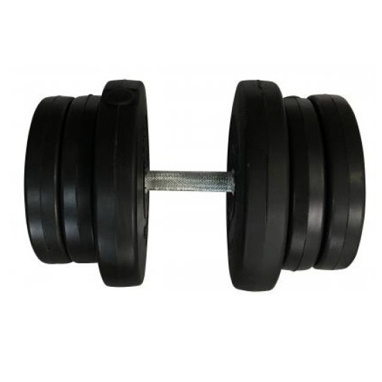 Купить Гантель  Newt наборные Rock Pro R 21,5 кг в Киеве - фото №1