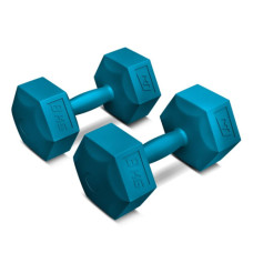 Гантель Hop-Sport 2х8 кг композитные HS-C080DS голубые