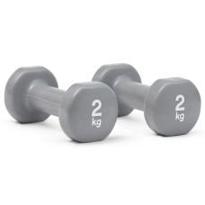 Гантель Reebok RAWT-16152 2 кг