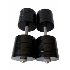Гантель RN-Sport 2 x 50 кг наборные стальные 