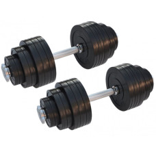 Гантель RN-Sport 2x23 кг набірні гумові
