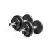 Купить Гантель  RN-Sport 2 x 8.5 кг разборные металлические RN_QTR8х2 в Киеве - фото №1