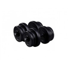 Гантель RN-Sport 2x20 кг композитные + эспандер BD-21