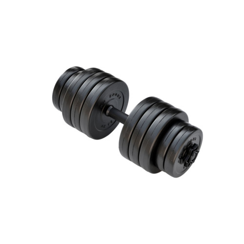 Купить Гантель  RN-Sport 21 кг Long long_21 в Киеве - фото №1
