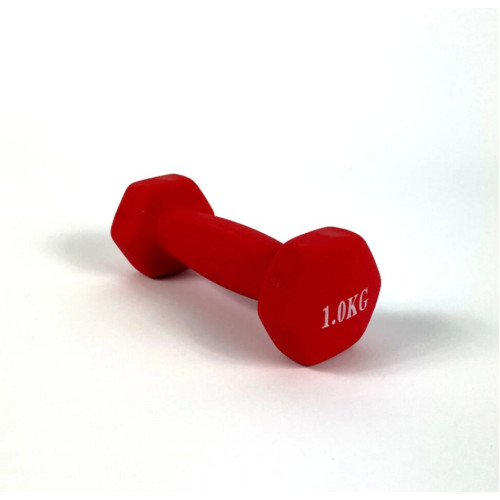 Гантель  RN-Sport 2x1 кг для фитнеса FIT1KGХ2RED - фото №2