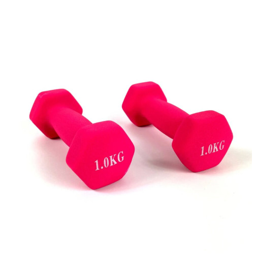 Купить Гантель  RN-Sport 2x1 кг для фитнеса FIT1KGХ2PINK в Киеве - фото №1