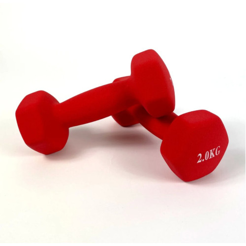 Гантель  RN-Sport 2x2 кг для фитнеса FIT2KGХ2RED - фото №2