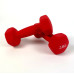 Гантель  RN-Sport 2x2 кг для фитнеса FIT2KGХ2RED - фото №2