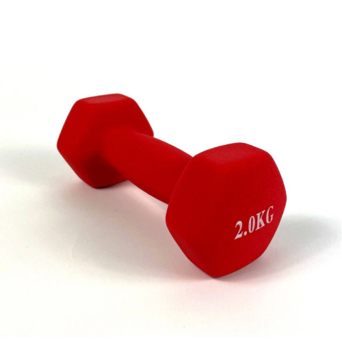 Гантель  RN-Sport 2x2 кг для фитнеса FIT2KGХ2RED - фото №3