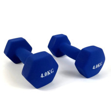 Гантель RN-Sport 2x4 кг для фитнеса FIT4KGХ2BLUE