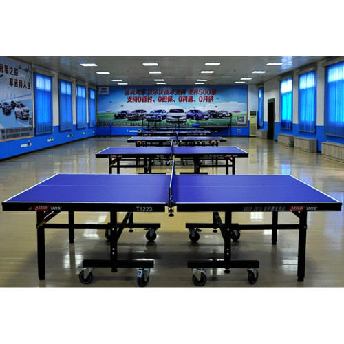 Теннисный стол  DHS T1223 - фото №5