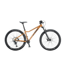 Велосипед KTM ULTRA EVO 29", рама L, черно-золотой, 2020
